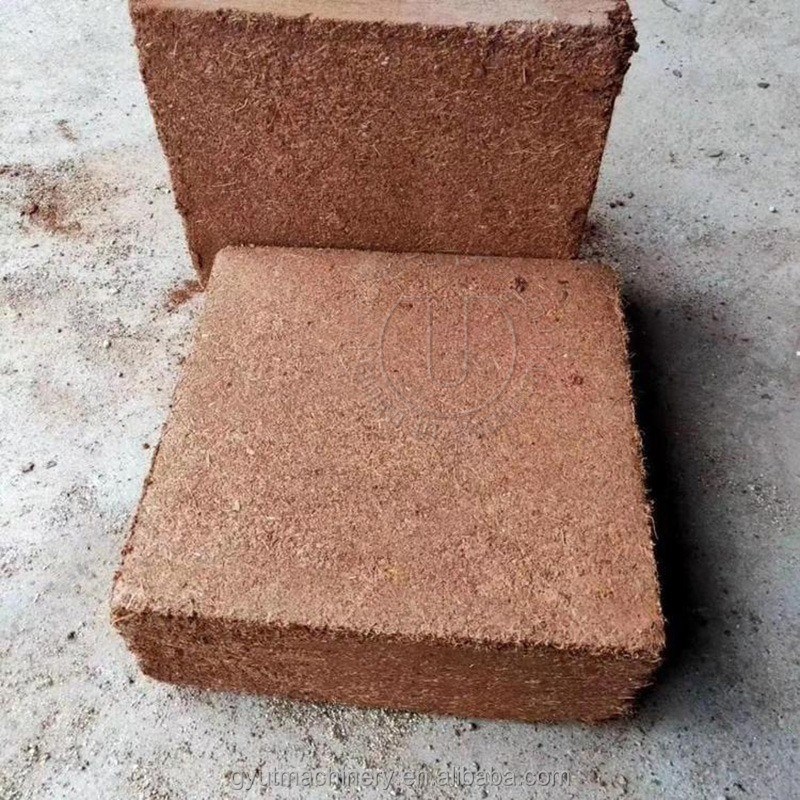 650g 5kg ブロック ココナッツ・トート加工機械 パーソナライズ可能な色調