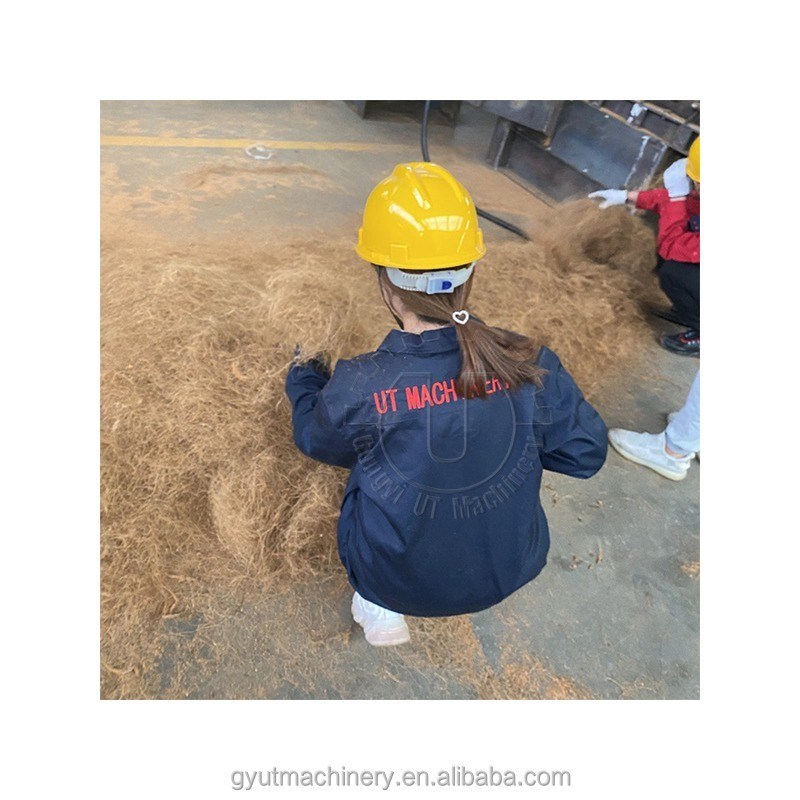 高出力 3-4 T オートマティック ココナッツ消毒機 ココナッツ繊維抽出機 2024