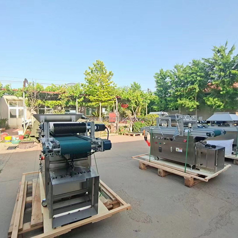 トマトの種まき機 120 トレイ レタス種子 野菜種子 プラスチックのトレイの種まき機