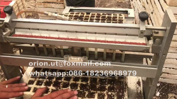 機械修理業者が100Mのキャロット・ペッパー・トマト・ブロッコリー種まき機から恩恵を受けています