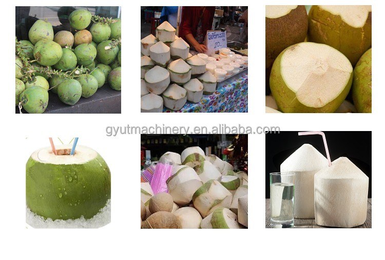 0.8kWのグリーンココナッツピラー トリミングデハスカーで スライバー制作ゲームをアップグレードします