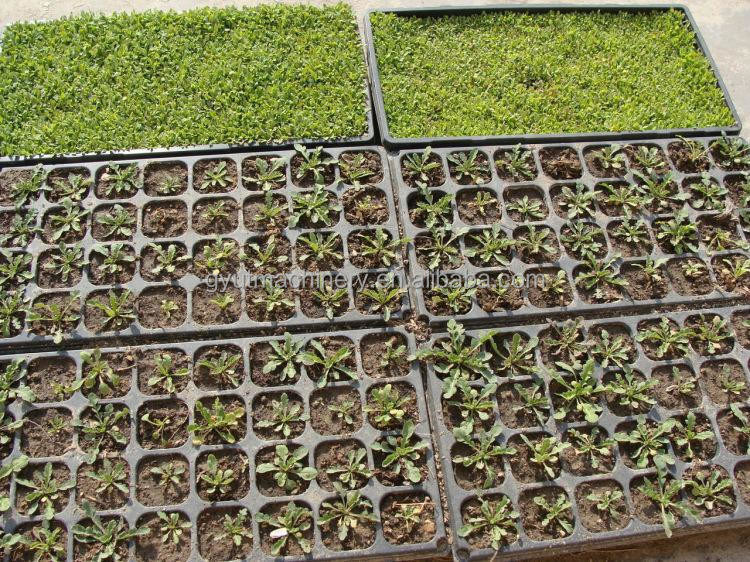 1140*850*1050mm サイズ 農業 トマトの種を植えるためのマイクログリーンシード機