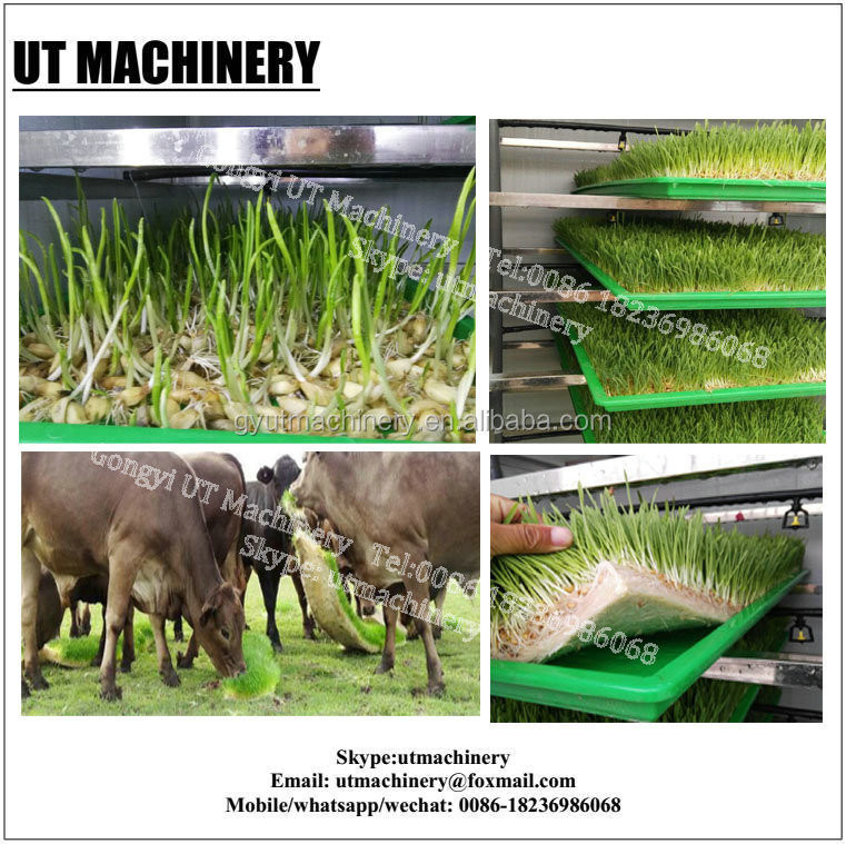 豆根処理設備 日用水3m3の水消費 芽の生産