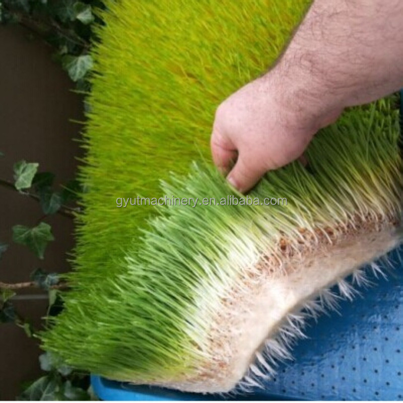 最高級のマイクログリーン 野菜栽培 機械修理店用の水栽培機械