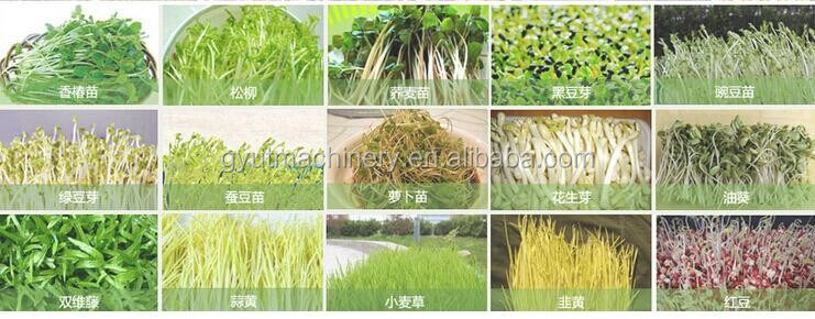 2024 広告 C 収穫用ハーベスター マシン アクアポニクス マイクログリーン製品